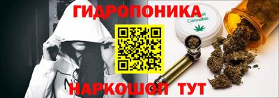 сатива Будённовск