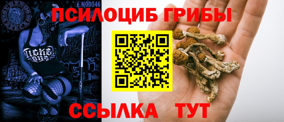 Alpha PVP СК кристаллы  Вход с VPN  Меф кристаллы  Меф  МАРИХУАНА  Мурино  Кокаин  Метамфетамин 